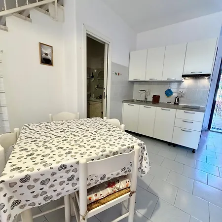 Casa Orchidea 아파트 몬테 페트로수